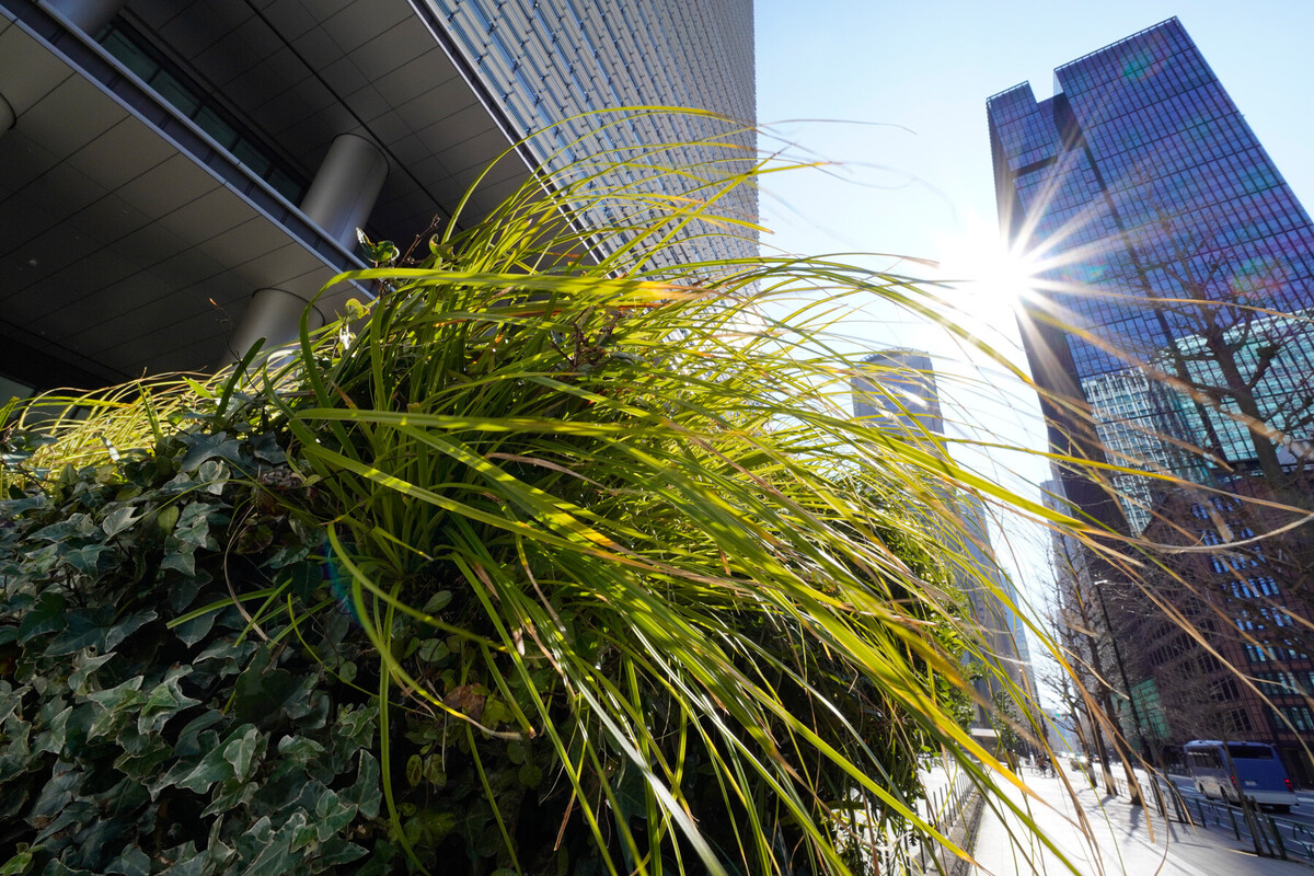 SIGMA 10-18mm F2.8 DC DN | Contemporary #BICWAVE #レンズ SIGMA 10-18mm F2.8 DC DN | Contemporary #BICWAVE #レンズ